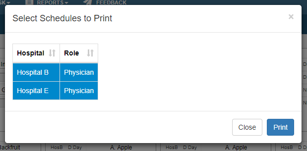 Select Schedules for Printing, Print Composite Schedule